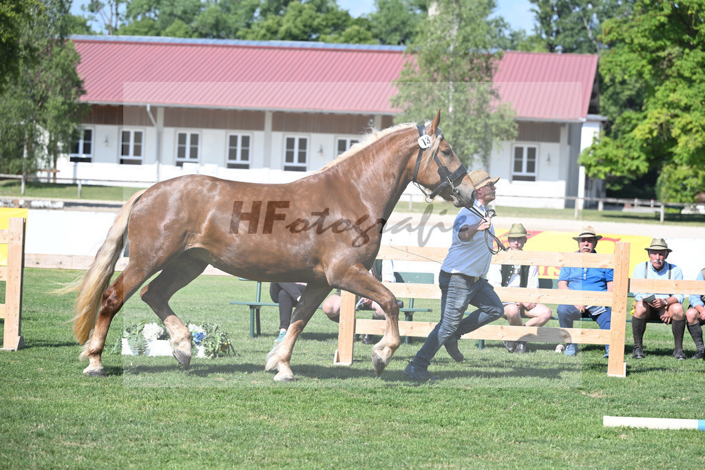 Kat-Nr. 13 Ida_Weiderer_20230202 | hf-fotografie - Realisiert mit Pictrs.com