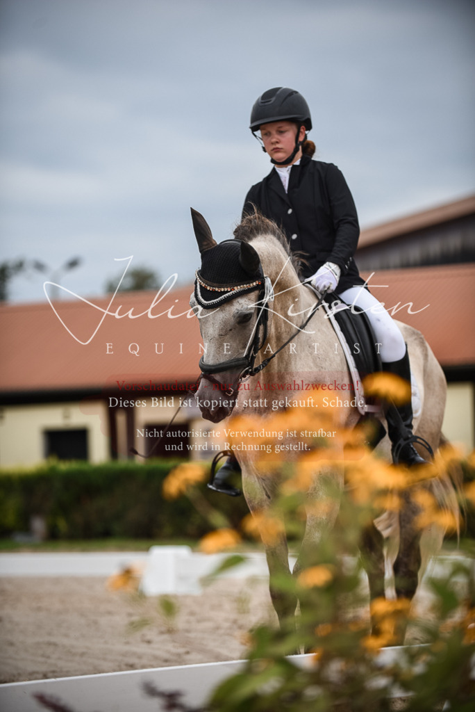 DSC_8221 | Pferde- und Turnierfotografie in Westsachsen. Pferdeportraits, Auftragszeichnungen und intuitive Kunst.
