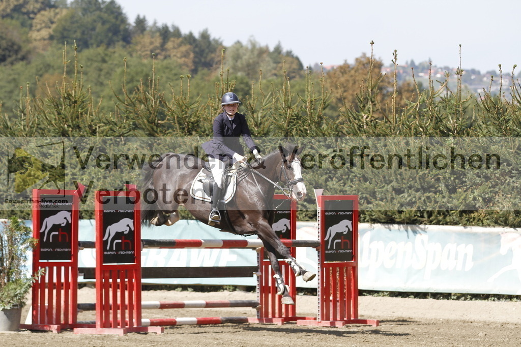 _MG_6461 | equestrian-live-com