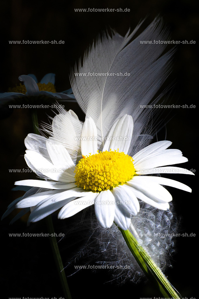 220902-VW-IS6A4040-Bearbeitet-Bearbeitet | Fotowerker-sh - Realisiert mit Pictrs.com