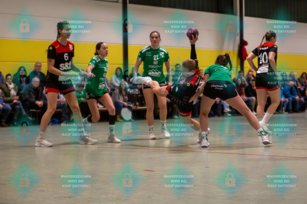 _HP_4489_3000o | TV Welling Damen vs. TV Bassenheim 05.01.2024