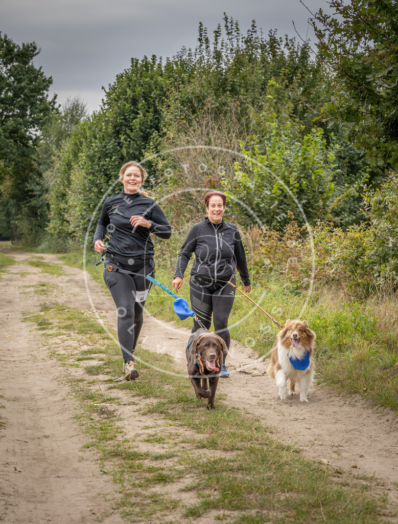Pfotenfotografie_DV3A6258 | Hundefotografie, Tierfotograf, Pfotenfotografie, Fotoshooting Hund, Hunde Portrait, Hundesport, Hundeportraits, Heideshooting, Hunde, Sportfotograf, Hundefotograf, Turnierhundsport, THS,  - Realisiert mit Pictrs.com