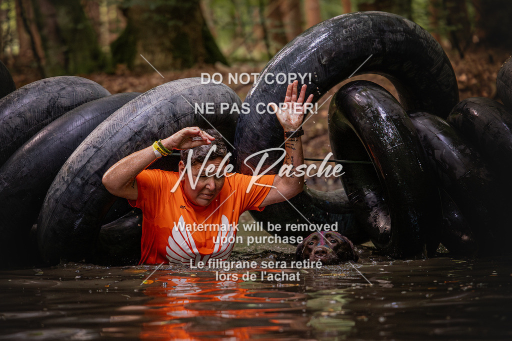 nelerasche_SaWingst1000-1030_02 | nelerasche