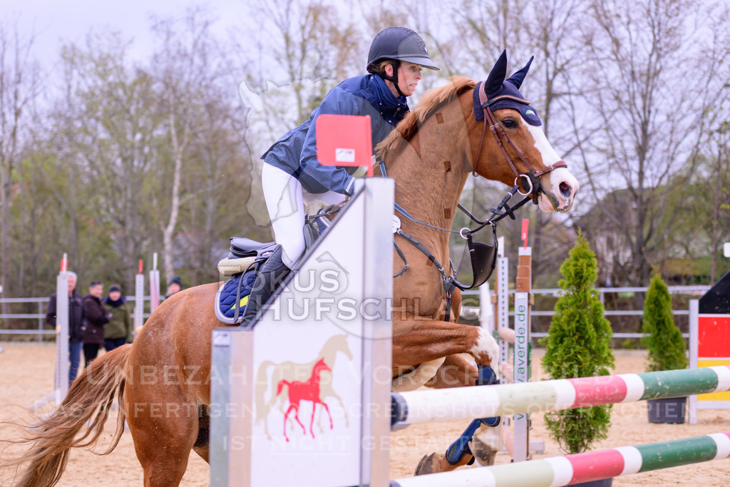 12042026-Mammendorf-Prfg42-0426 | Fokus Hufschlag Fotografie - Realisiert mit Pictrs.com