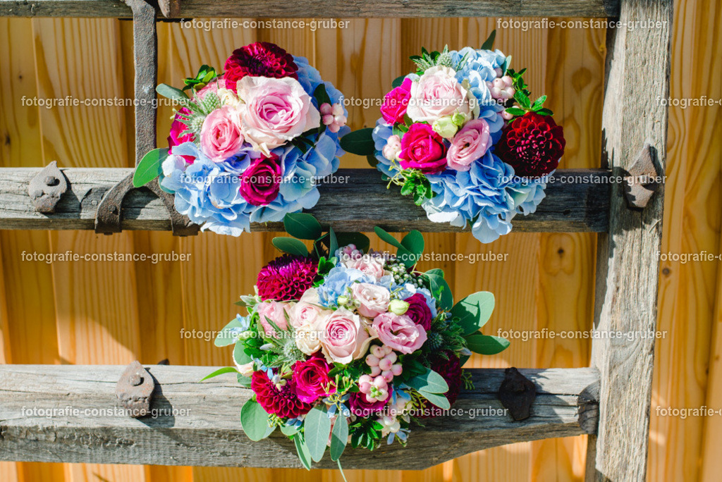 1011 | Fotografie Constance Gruber - Realisiert mit Pictrs.com