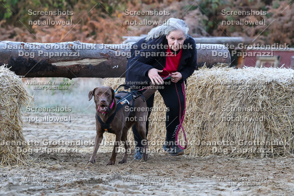 Dog Paparazzi - Strongdog 10-25-289 | Dog Paparazzi Jeanette Grottendiek Fotografie & Videografie - Realisiert mit Pictrs.com