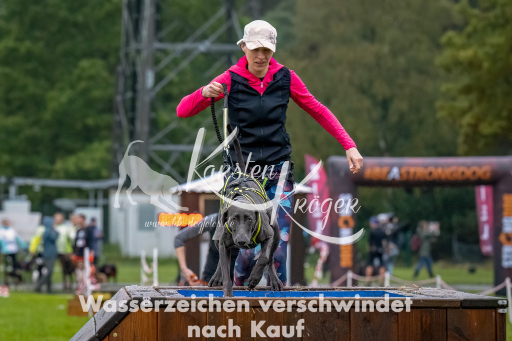 1024--17 | kk-dogfotos