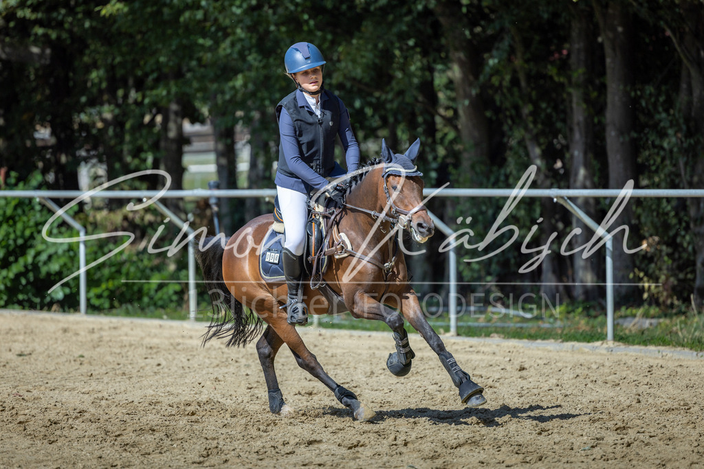 20260905-_3LI9493 | Tierfotografie Pferde, Hunde, Katzen, Haustiere.
Turnierfotografie Reitturniere, Reiten, Springreiten, Dressur in Hanau, dem Main-Kinzig-Kreis und dem Rhein-Main- Gebiet um Frankfurt