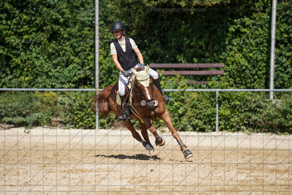 20240824-FAH08349 | Thierhaupten 2024, Bayerisches Landesponyturnier, Turnierbilder, Ponybilder, Turnierfotografen Bayern, Fotoagentur Herrmann