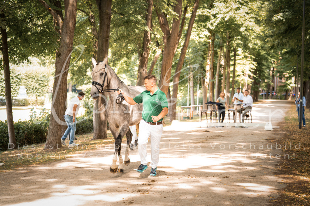 FrPfM00182 | Leoni Ertmer Photography - Realisiert mit Pictrs.com