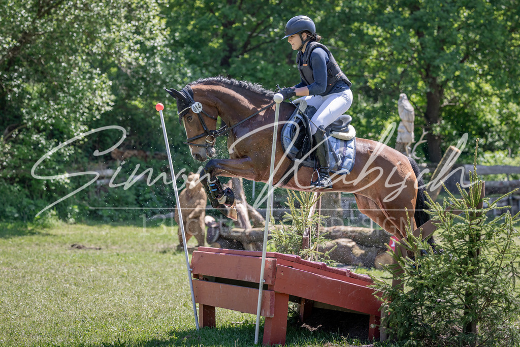 20260523-_3LI8132 | Tierfotografie Pferde, Hunde, Katzen, Haustiere.
Turnierfotografie Reitturniere, Reiten, Springreiten, Dressur in Hanau, dem Main-Kinzig-Kreis und dem Rhein-Main- Gebiet um Frankfurt