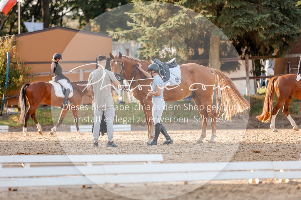 3I6A2371 | Stimmungsvolle Portraits und Reitsportfotografie im Ruhrgebiet und im Münsterland.

Pferdefotografie, Hundefotografie, Tierfotografie, Reportagen, Portraits von Tier und Mensch, Turnierfotografie in Bochum, Recklinghausen, Marl, Haltern am See, Dülmen.. - Realisiert mit Pictrs.com