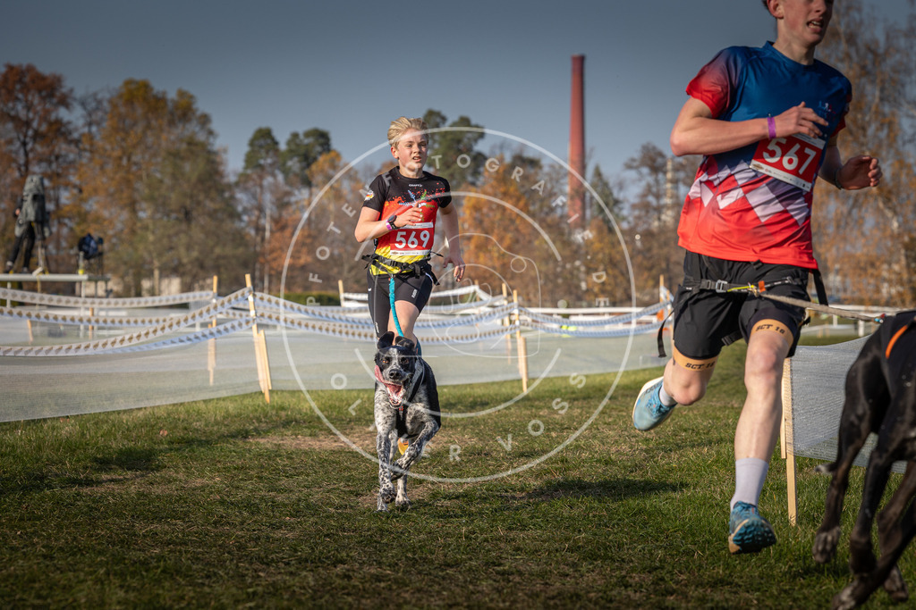 CaniXpix_0L8A9476 | Hundefotografie, Tierfotograf, Pfotenfotografie, Fotoshooting Hund, Hunde Portrait, Hundesport, Hundeportraits, Heideshooting, Hunde, Sportfotograf, Hundefotograf, Turnierhundsport, THS,  - Realisiert mit Pictrs.com