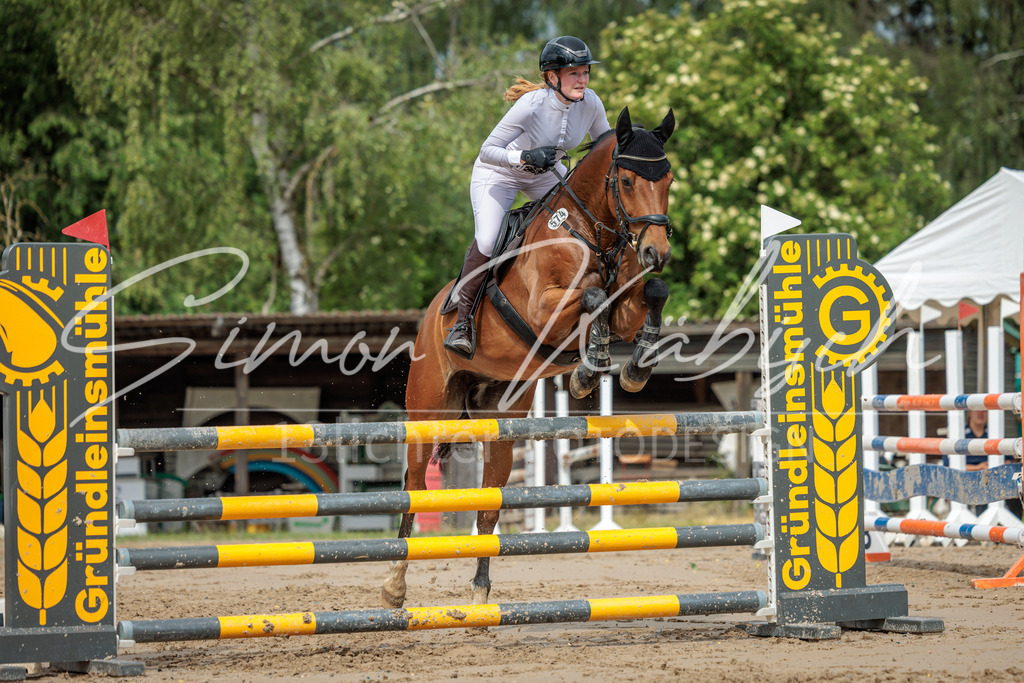 20260530-_3LI2489 | Tierfotografie Pferde, Hunde, Katzen, Haustiere.
Turnierfotografie Reitturniere, Reiten, Springreiten, Dressur in Hanau, dem Main-Kinzig-Kreis und dem Rhein-Main- Gebiet um Frankfurt
