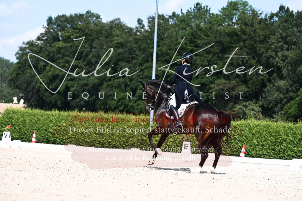 DSC_3402 | Pferde- und Turnierfotografie in Westsachsen. Pferdeportraits, Auftragszeichnungen und intuitive Kunst.