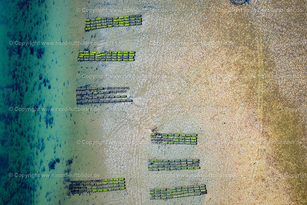 Sylt_List_Wattenmeer_Austernzucht_Sylter_Royal_Dittmeyers_Austernzucht_Companie_ELS_8860130825 | LIST 13.08.2025 Wattenmeer der Nordsee- Küste mit Austern-Zucht-Bänken "Sylter Royal" in List im Bundesland Schleswig-Holstein, Deutschland. Weiterführende Informationen bei: Dittmeyer's Austern-Compagnie GmbH. // Wadden Sea of the North Sea coast with oyster breeding banks "Sylter Royal" in List in the federal state of Schleswig-Holstein, Germany. Further information at: Dittmeyer's Austern-Compagnie GmbH. Foto: Martin Elsen