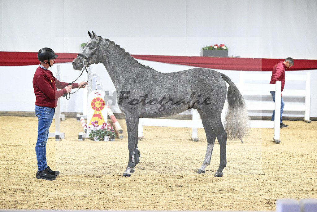 Kat-Nr. 28 v. Cornet de Semilly_ZG Nahm_63220821 | hf-fotografie - Realisiert mit Pictrs.com