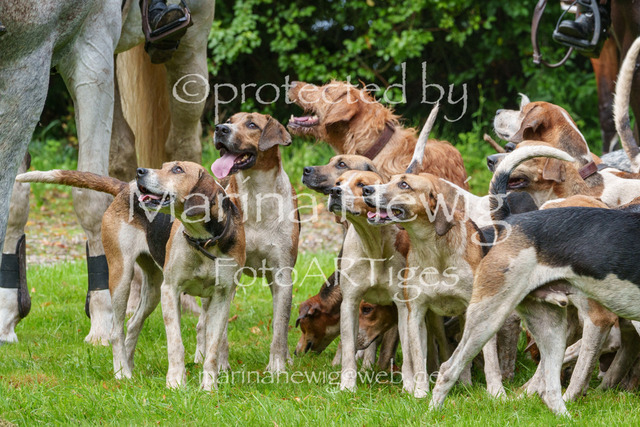 Jagd Perdoel 26 Sony-03579_MarinaHewig | Fotografie, FotoArt, PferdesportArt, Pferdesportfotografie, Landschaftsfotografie, Reisefotografie, Reise, Pferde - Realisiert mit Pictrs.com