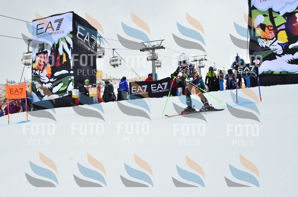 _ELE3375 | holidayphoto