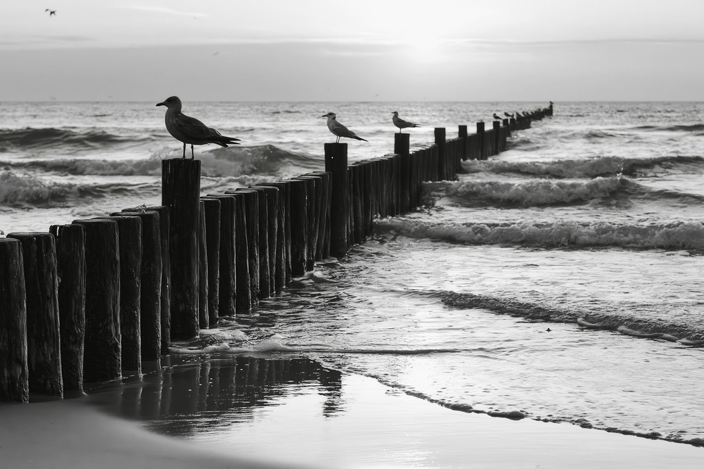 Pfähle am Strand | Mit moderner KI‑generiertes schwarz-weiß Artwork, sorgfältig manuell für den Druck optimiert.