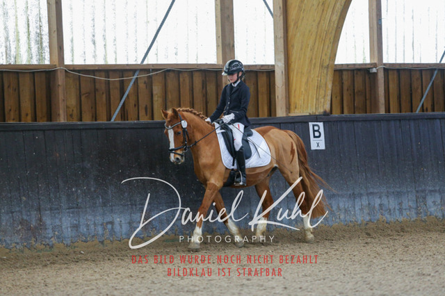 IMG_0182 | Turniersportfotografie; Pferdefotografie; Dressurfotografie