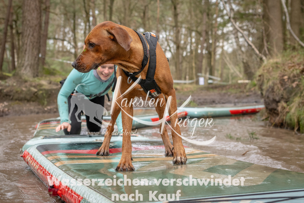 1049_ZZ94663 | kk-dogfotos