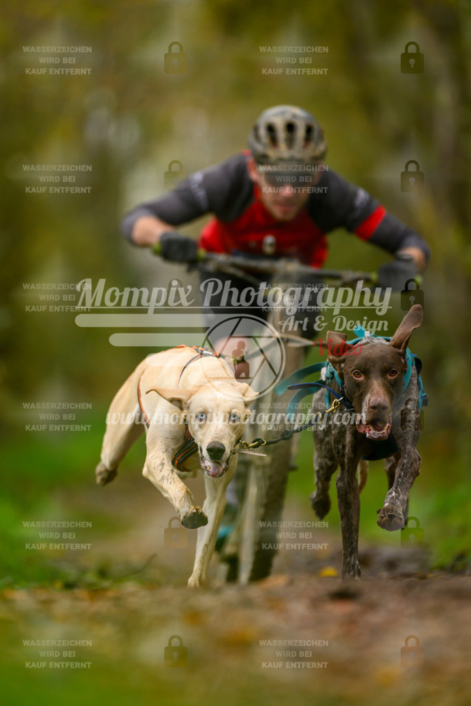 MompixPhotography_20TSB_E6_DS2-3 | PayLife