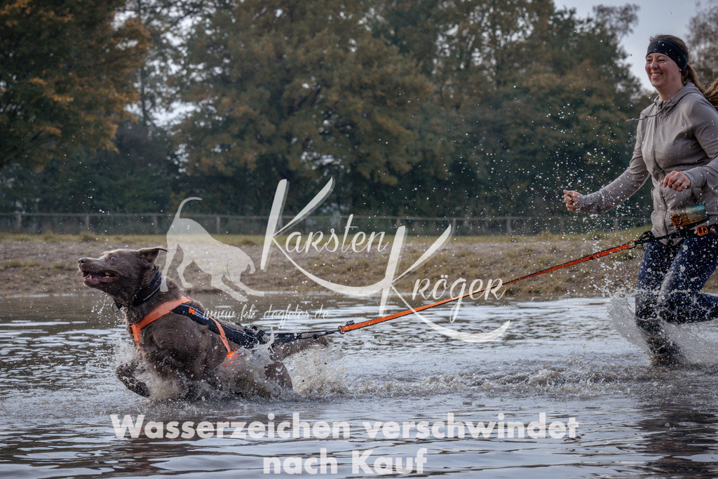 1141_ZZ96136 | kk-dogfotos