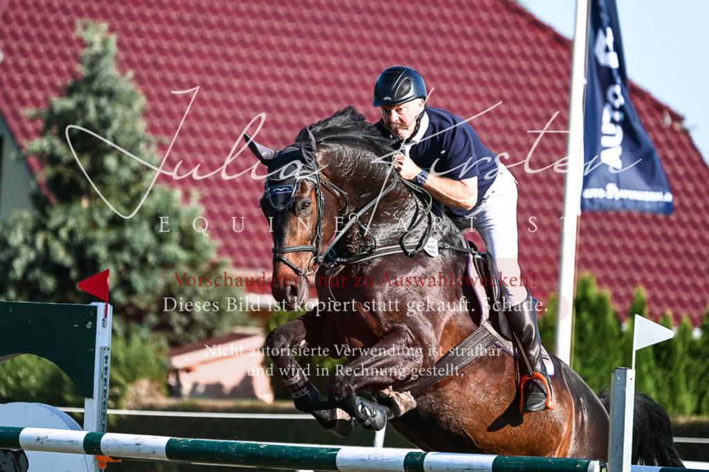 DSC_2995 | Pferde- und Turnierfotografie in Westsachsen. Pferdeportraits, Auftragszeichnungen und intuitive Kunst.