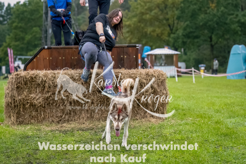 1029--8 | kk-dogfotos