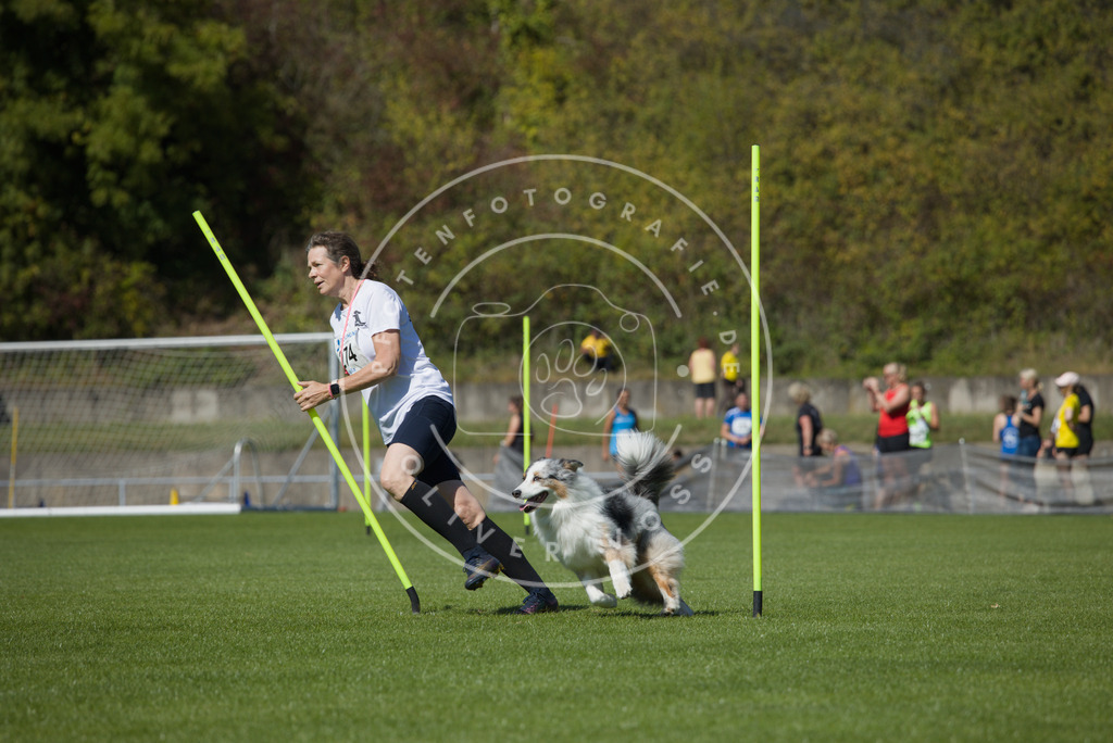 0L8A6722 | Hundefotografie, Tierfotograf, Pfotenfotografie, Fotoshooting Hund, Hunde Portrait, Hundesport, Hundeportraits, Heideshooting, Hunde, Sportfotograf, Hundefotograf, Turnierhundsport, THS,  - Realisiert mit Pictrs.com