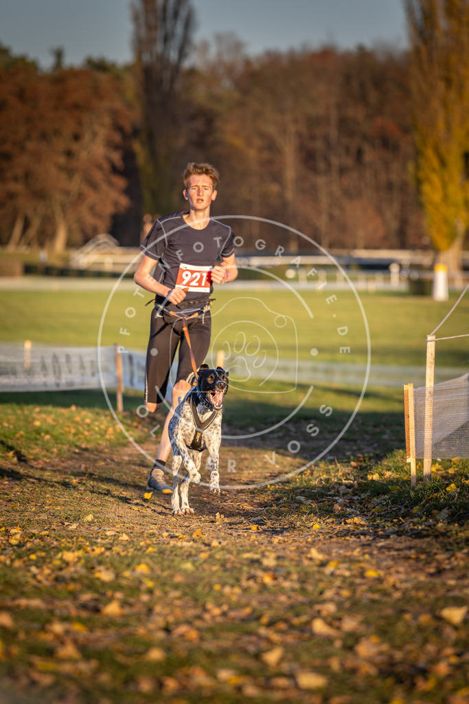 CaniXpix_DV3A4938 | Hundefotografie, Tierfotograf, Pfotenfotografie, Fotoshooting Hund, Hunde Portrait, Hundesport, Hundeportraits, Heideshooting, Hunde, Sportfotograf, Hundefotograf, Turnierhundsport, THS,  - Realisiert mit Pictrs.com