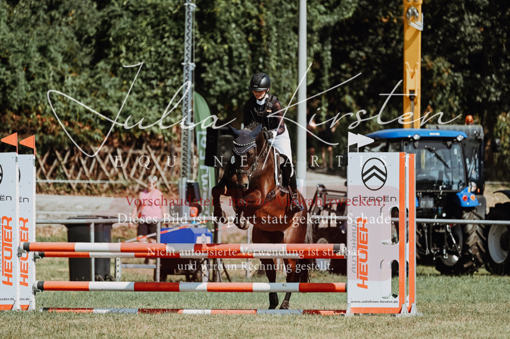 DSC_9500 | Pferde- und Turnierfotografie in Westsachsen. Pferdeportraits, Auftragszeichnungen und intuitive Kunst.