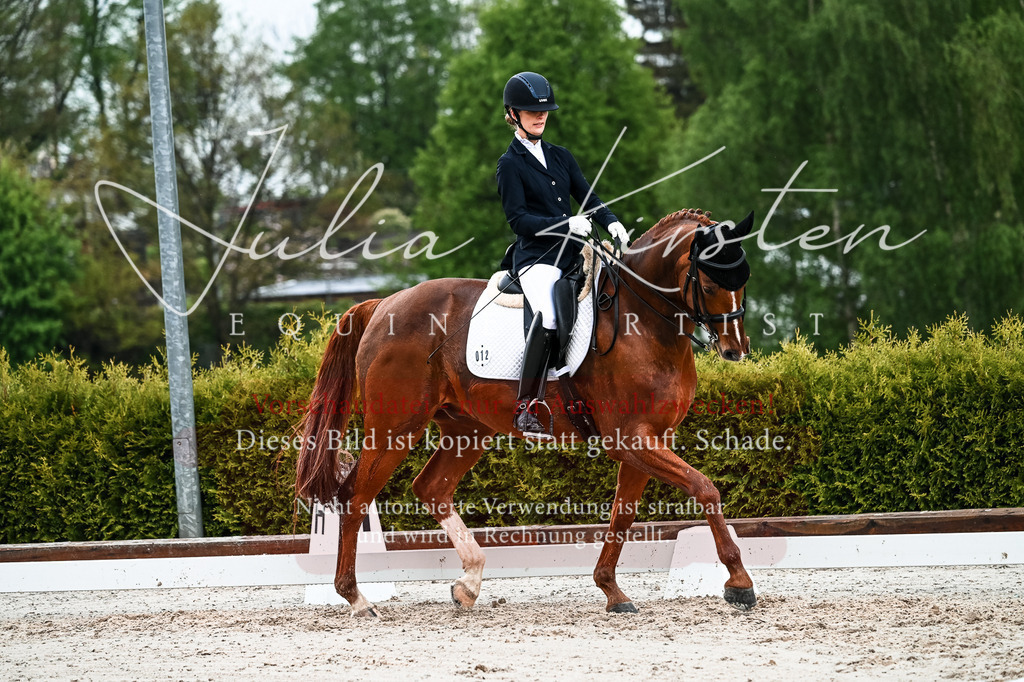 DSC_4239 | Pferde- und Turnierfotografie in Westsachsen. Pferdeportraits, Auftragszeichnungen und intuitive Kunst.