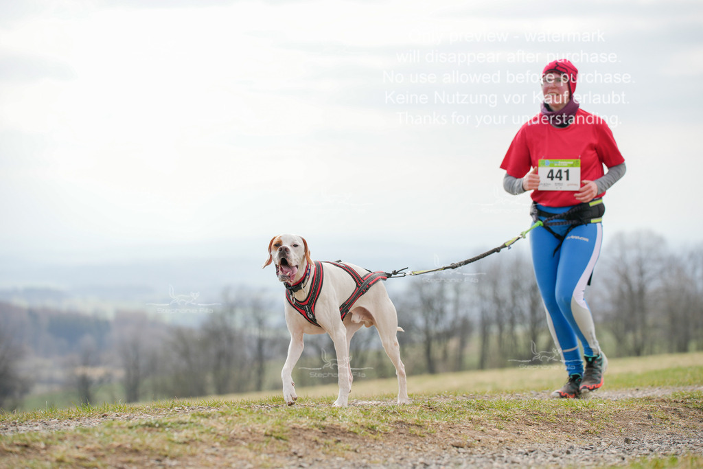 CaniXRunSA-244 | stephaniefillaphotographie - Realisiert mit Pictrs.com