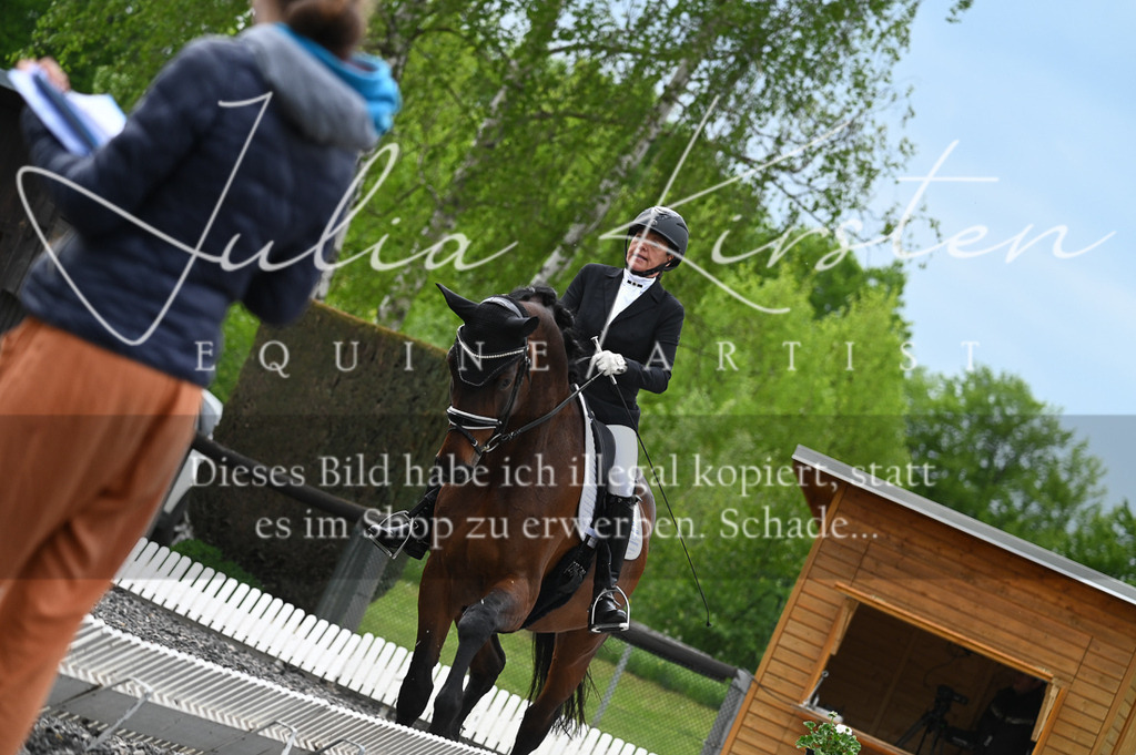 20230512_JK-Röhrsdorf-08-027 | Pferde- und Turnierfotografie in Westsachsen. Pferdeportraits, Auftragszeichnungen und intuitive Kunst.