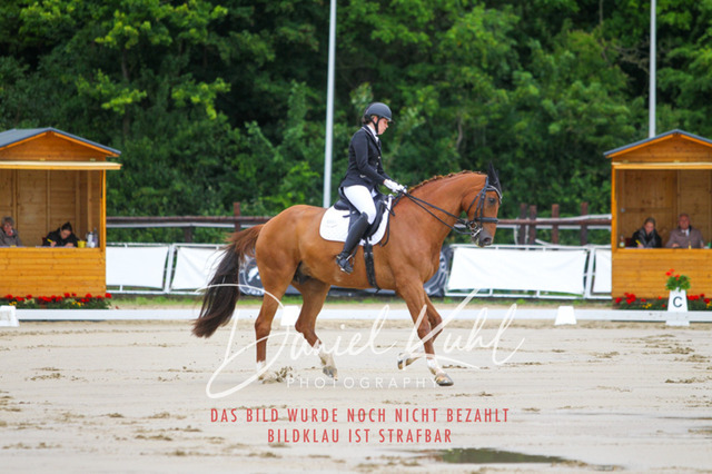 DKP46633 | Turniersportfotografie; Pferdefotografie; Dressurfotografie