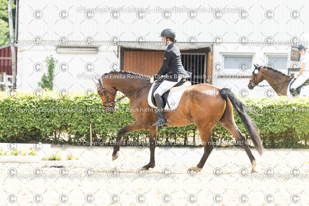 CL5A7040 | Emilia Reinking Fotografie - Realisiert mit Pictrs.com