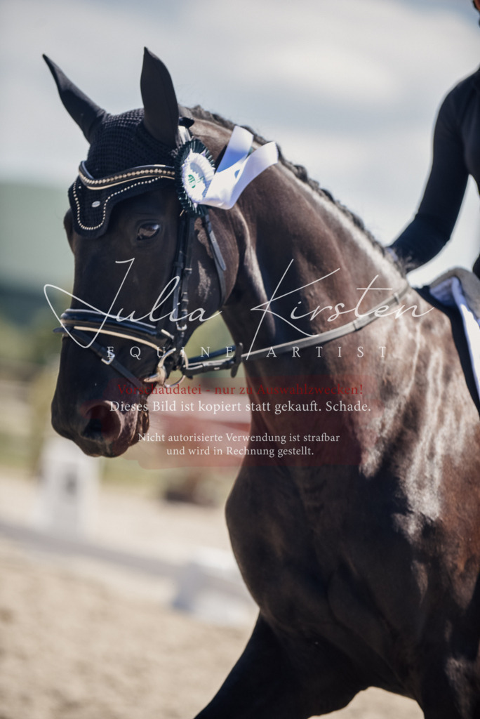 DSC_8826 | Pferde- und Turnierfotografie in Westsachsen. Pferdeportraits, Auftragszeichnungen und intuitive Kunst.
