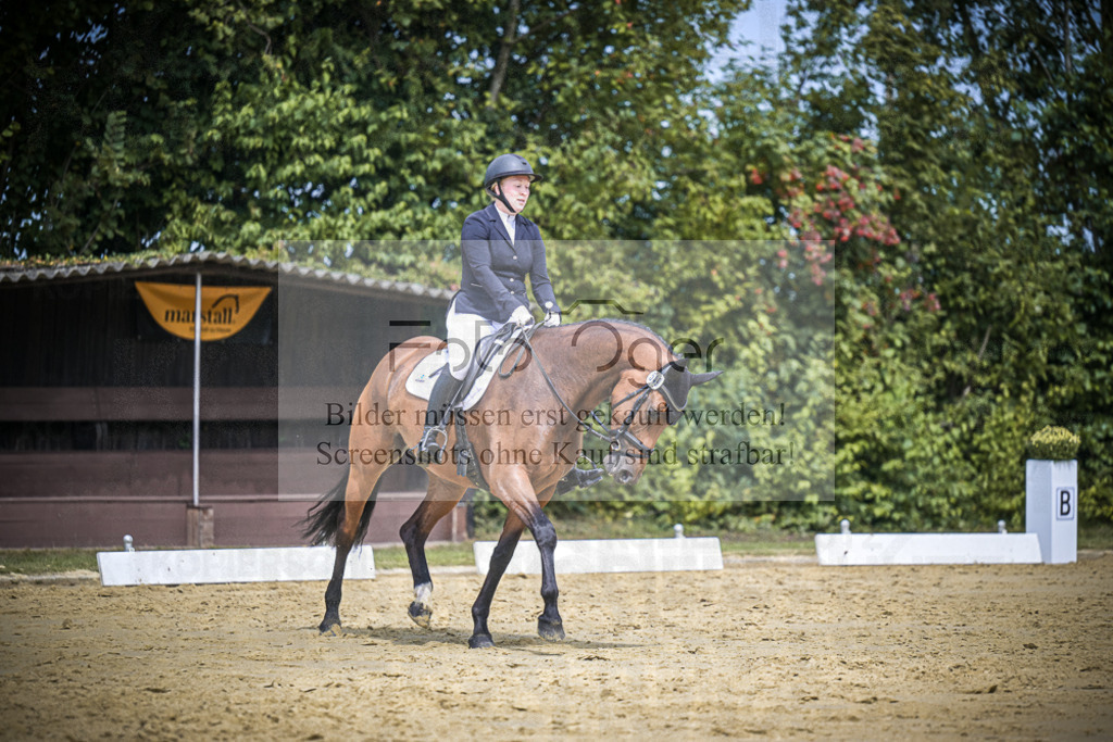 DOS_4021 | Entdecke hochwertige Reitturnierfotos von Foto Oger. Professionell, emotional und authentisch – jetzt Lieblingsmomente im Shop bestellen.Deutschlandweite Turnierfotografie. - Realisiert mit Pictrs.com
