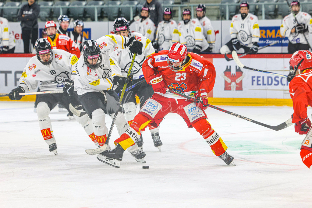 701A3195 | Sportbilder, Sportfotograf, Hochzeits- und Eventfotografin, Flugshows, Portraits und Tiershooting, Aviation, Downhill, Nationalleague, Swissleague, International