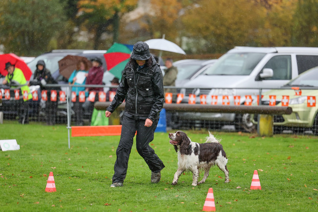2025_Rally_Obedience_SM-142 | Ich fotografiere Hundeausstellungen, Sportanlässe, Zuchtstätten, Hundezucht, Hundeportrait, Lagotto - Realisiert mit Pictrs.com