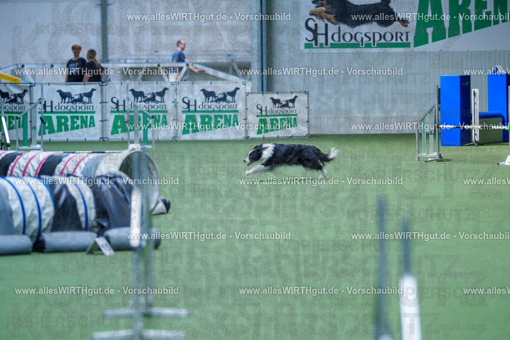@allesWIRTHgut_Tierfotografie - www.allesWIRTHgut.de - 2604261346-7R502653 | Professionelle Tierfotografie in Mönchengladbach von Daniel Wirth (allesWIRTHgut). Liebevolle & natürliche Bilder von Hunden & Katzen für unvergessliche Erinnerungen.