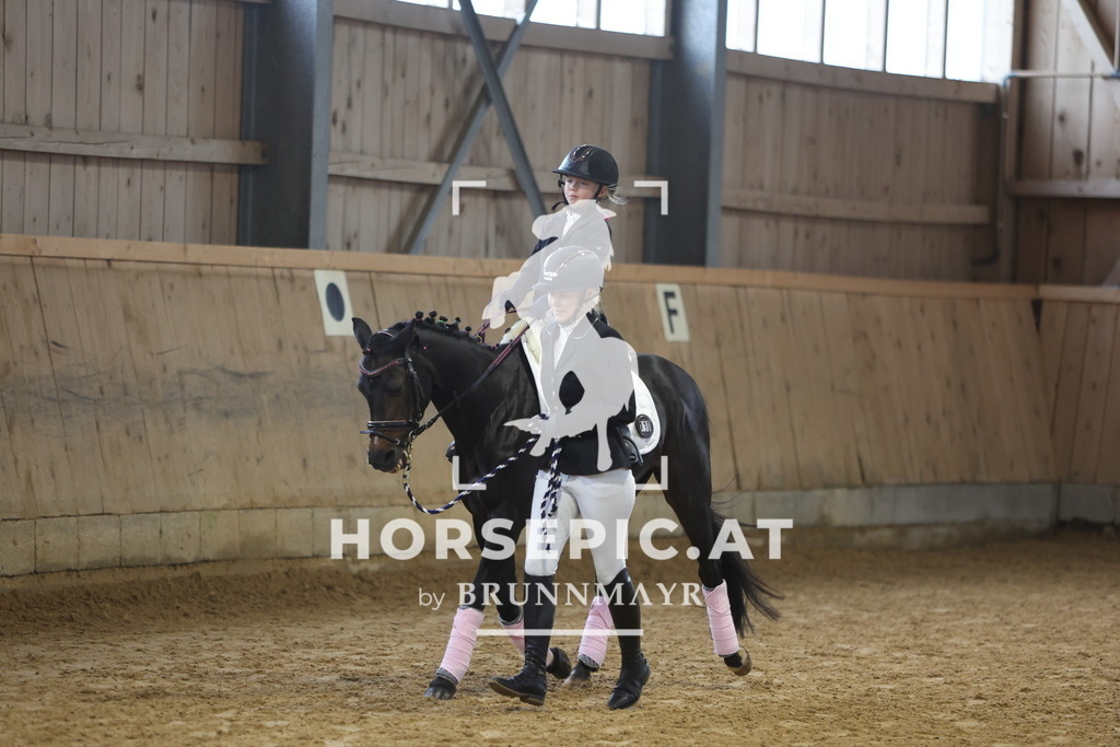 0P6A0615 | Willkommen bei Brunnmayr - Design & Fotografie – Ihrem Spezialisten für Reitturniere und Pferdeveranstaltungen in Oberösterreich, Salzburg und Bayern! Seit über 17 Jahren sind wir leidenschaftlich dabei.