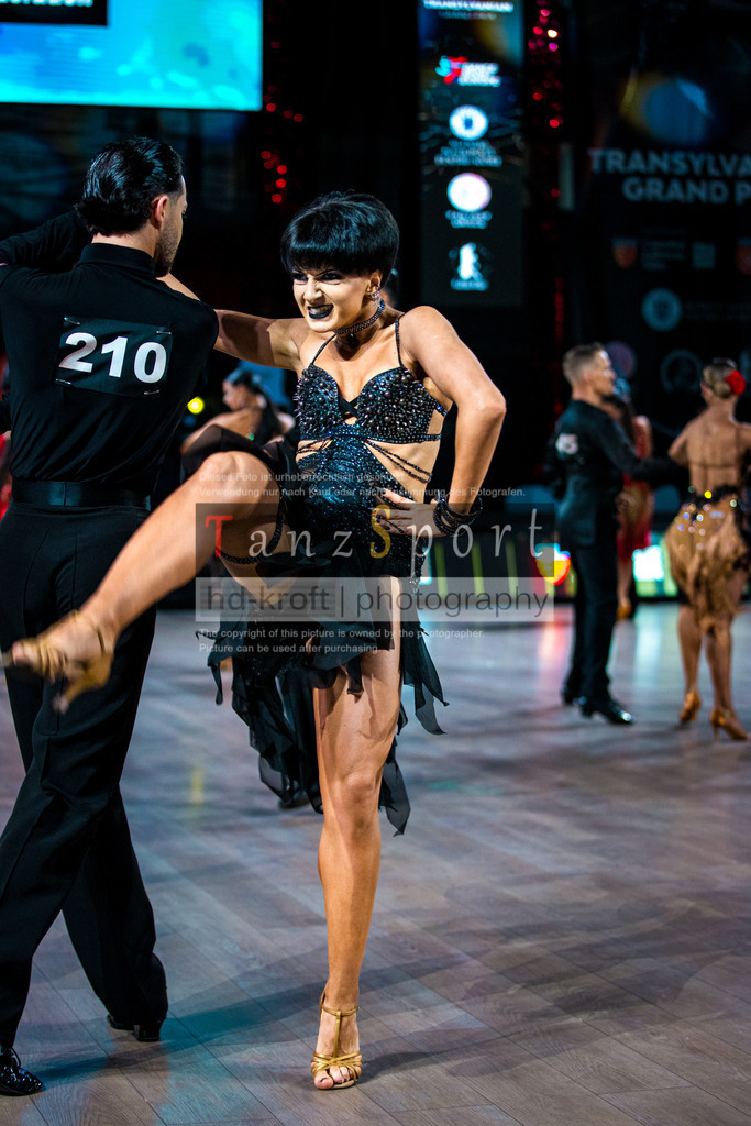 20251101_TGP_4258 | Tanzsportbilder, Standardtanz, Lateintanz, WDSF, DTV, LTVB, dancecomp, goc, hessen tanzt, blaues band der spree, walzer, tango, wiener walzer, slowfox, quickstepp, samba, rumba, cha-cha-cha, paso doble. jive, hd-kroft photography, turniertanzsport