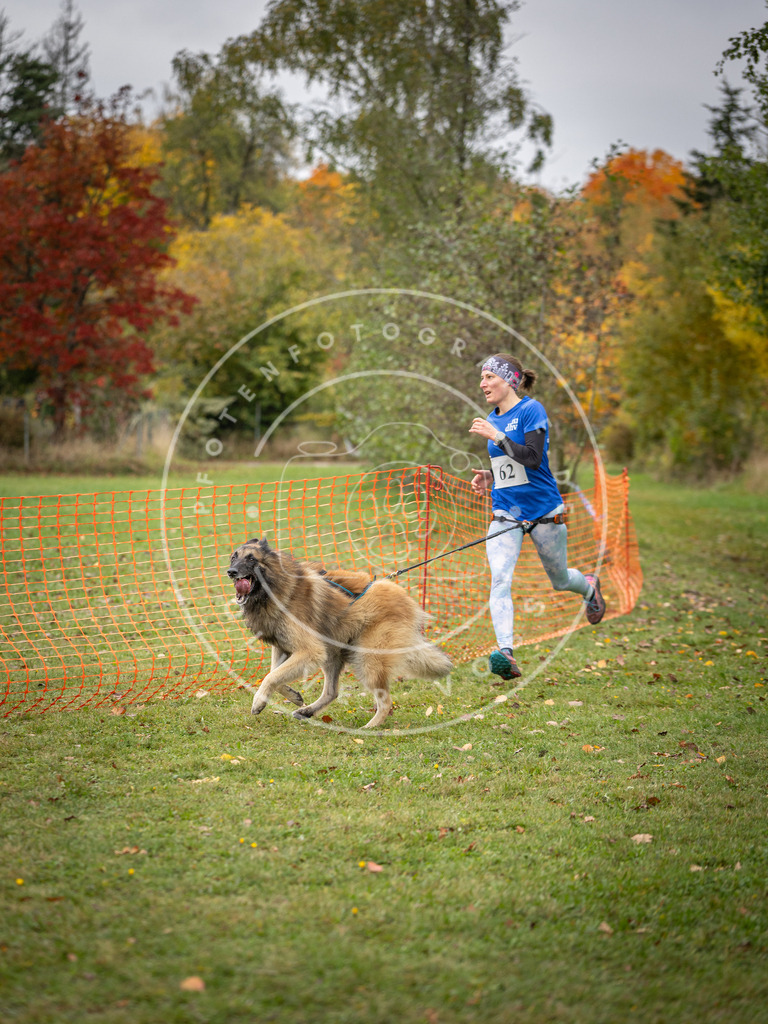 Pfotenfotografie_DV3A2697 | Hundefotografie, Tierfotograf, Pfotenfotografie, Fotoshooting Hund, Hunde Portrait, Hundesport, Hundeportraits, Heideshooting, Hunde, Sportfotograf, Hundefotograf, Turnierhundsport, THS,  - Realisiert mit Pictrs.com