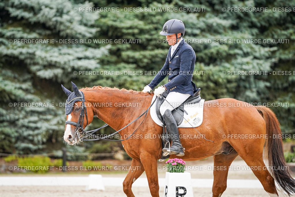 DSC08525 | Pferdegrafie