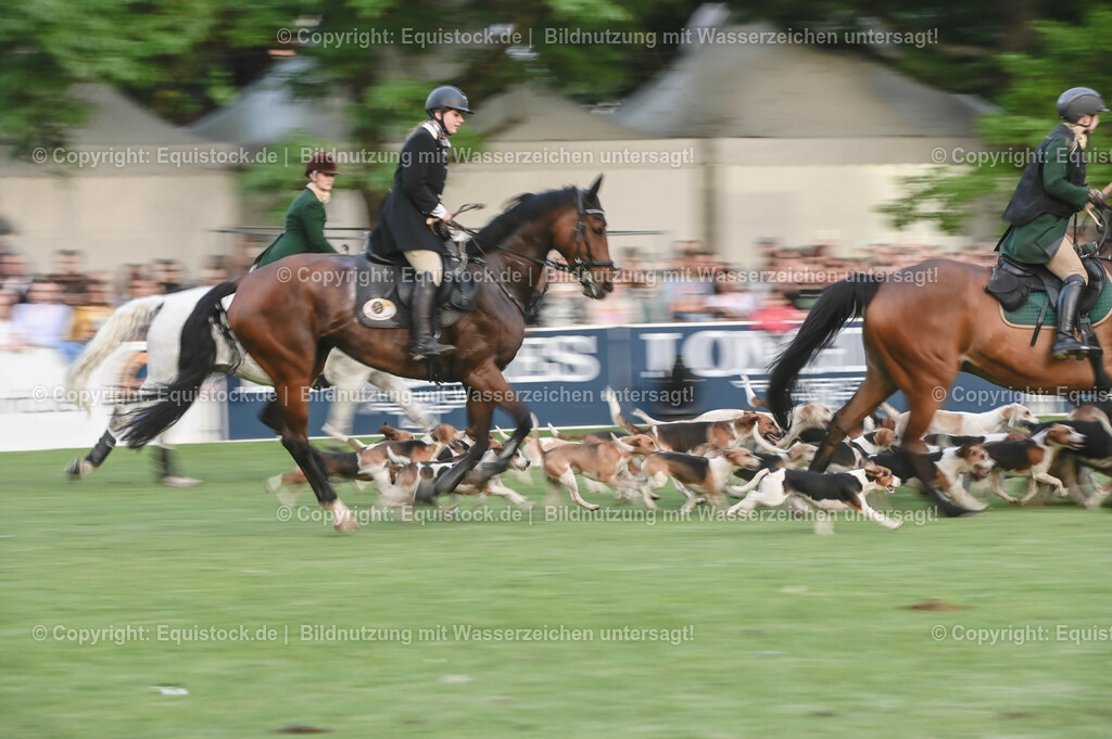 20230526_Pferdenacht_0657 | equistock