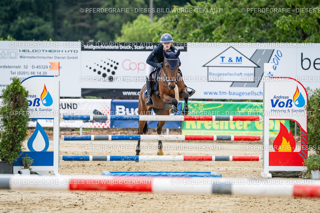 DSC05485 | Pferdegrafie