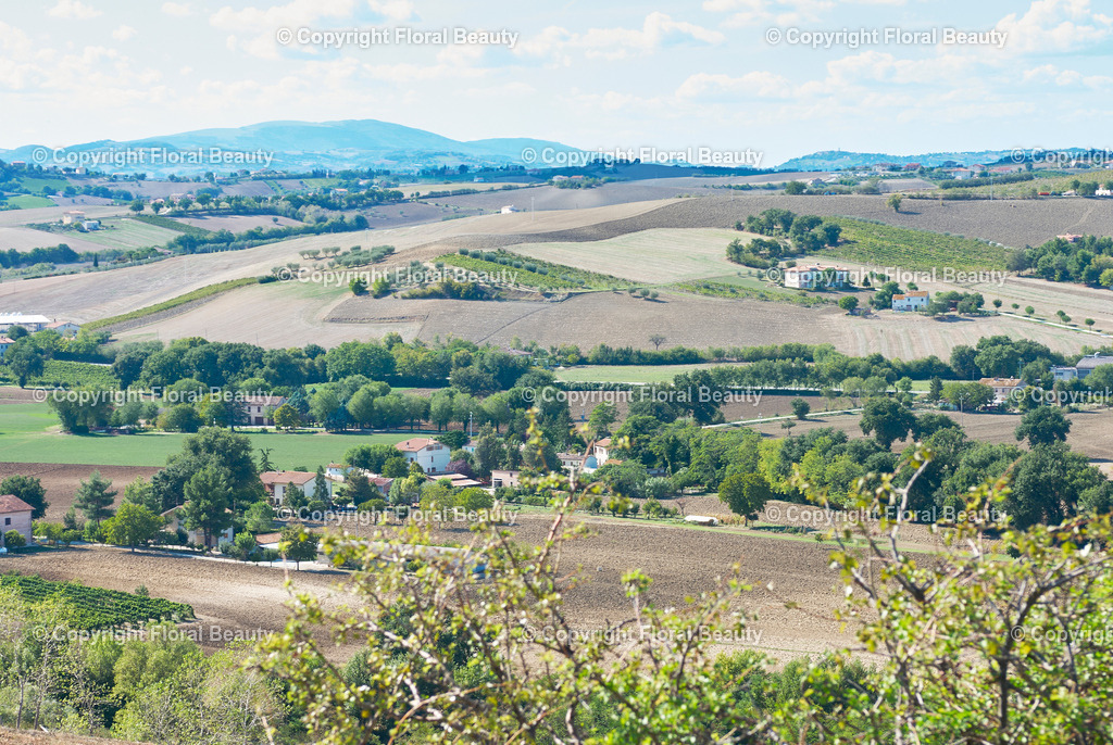 Weingut in Italien | hügelige Landschaft in Italien - Realisiert mit Pictrs.com